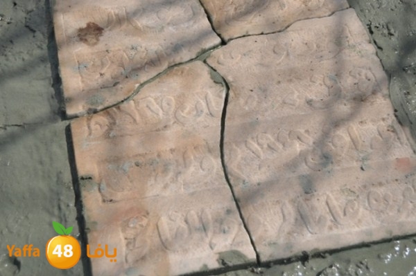 ajyalnewa3maltayba (102).JPG